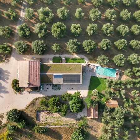 Agriturismo Casette Del Forno Montalto di Castro Eksteriør bilde