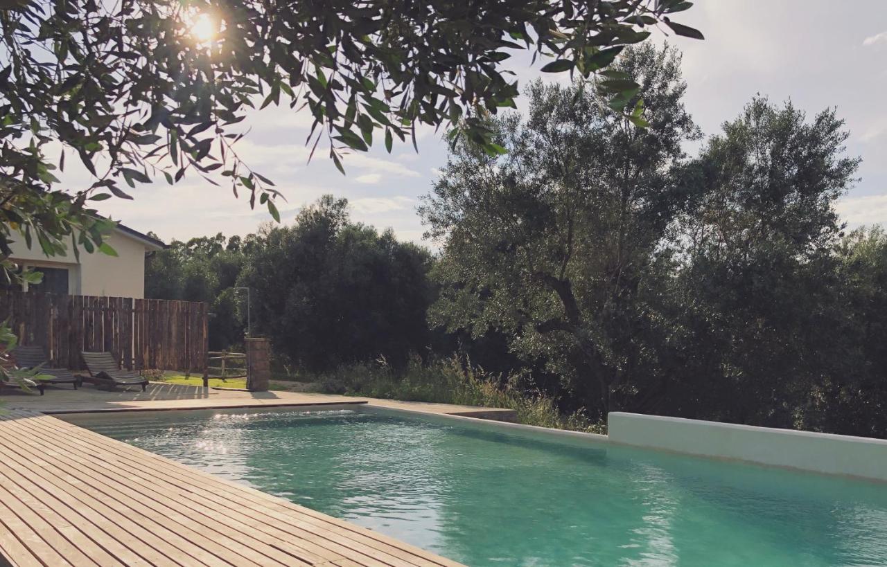 Agriturismo Casette Del Forno Montalto di Castro Eksteriør bilde